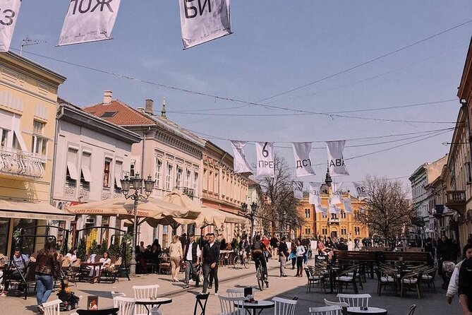 3 Hour Private Walking Tour in Novi Sad City - Why Novi Sad makes a good walking tour