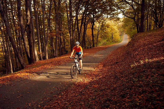 Avala & Kosmaj Bike Tour - Starting high on Avala
