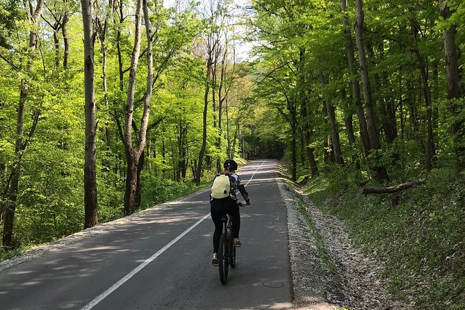 Avala & Kosmaj Bike Tour - The pine-forest descent and Avala Tower