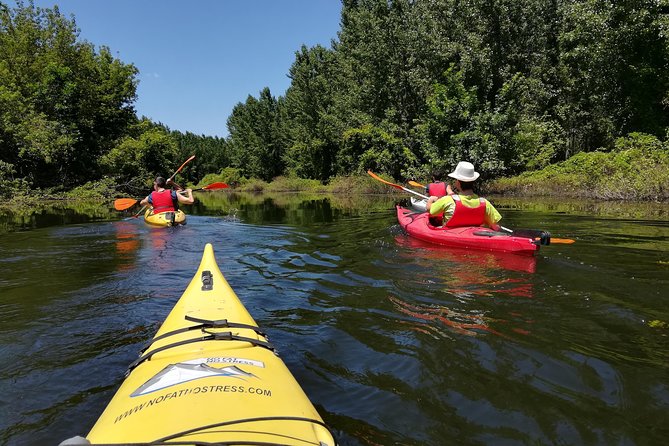 Belgrade Amazon Kayak Adventure - Why Belgrade’s Amazonia is worth your time