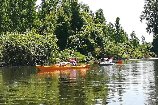 Belgrade Amazon Kayak Adventure - Following the Danube channels into Beljarica
