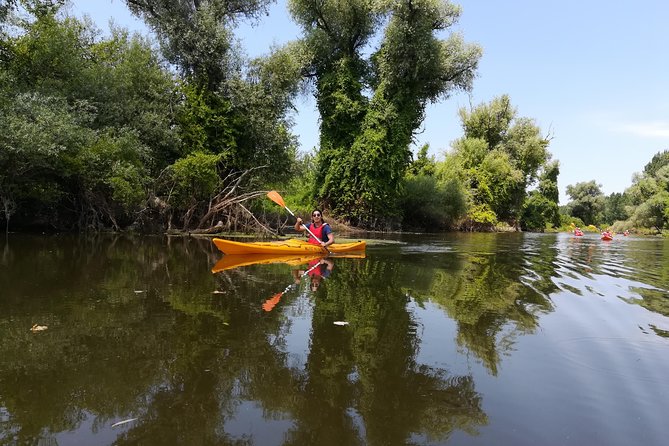 Belgrade Amazon Kayak Adventure - The good kind of difficult