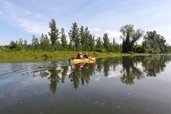 Belgrade Amazon Kayak Adventure - Birdlife, photography, and small details