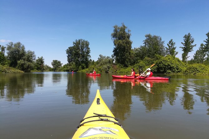 Belgrade Amazon Kayak Adventure - How the five hours feel