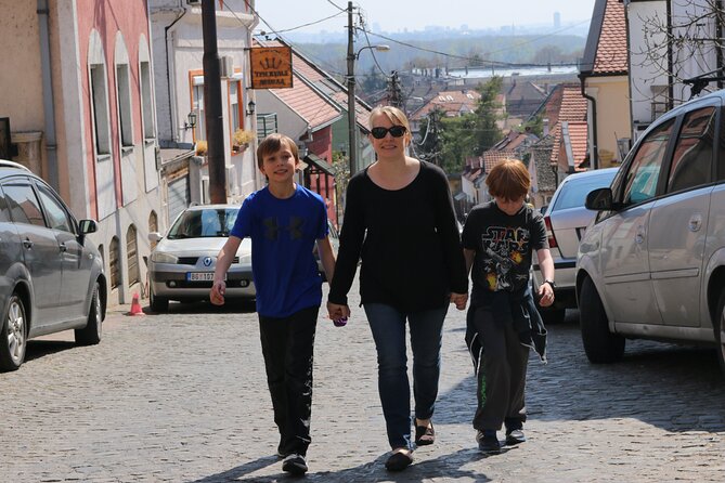 Belgrade Private City Tour – Metropolis Between East and West - Zemunska Pijaca adds everyday local life