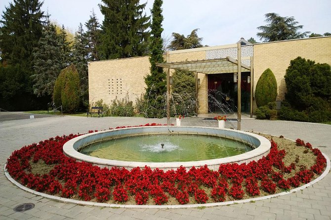 Belgrade Private Driving & Walking Tour - What the private format adds