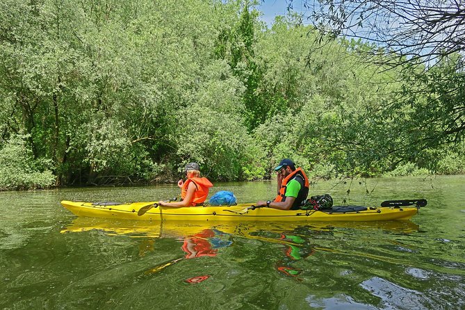 Belgrade War Island Kayak Tour - Why Great War Island is the right place to kayak