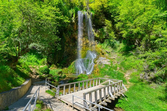 From Belgrade: Full day trip to Zlatibor Mountain - Zlatibor Lake gives you one hour to choose your own pace