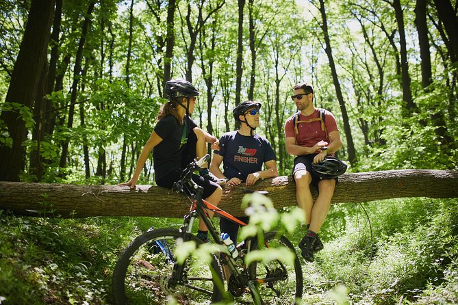 Fruška Gora Bike Tour - Two hours among Fruška Gora’s forest tracks