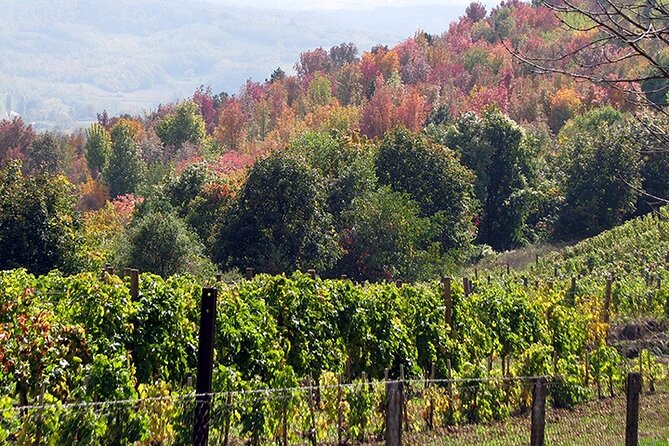 Full-Day Private Royal Heritage Tour to Oplenac With a Winery Visit - Lunch in Aranđelovac and the two-hour pause