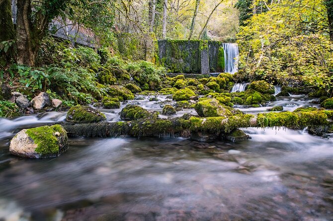 Full-Day Trip from Belgrade: Tara National Park & The Drina River Valley - The 2 km walk to Banjska Stena