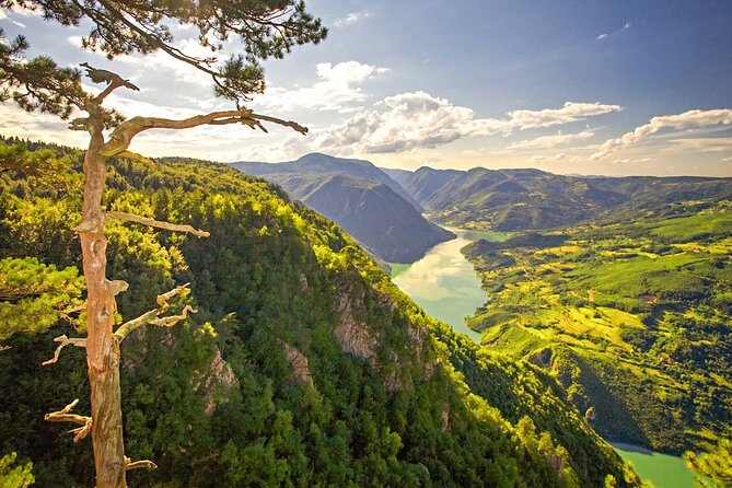 Full Day Trip from Belgrade: The Drina River House And Tara Park Tour - Tara National Park and the Drina River Gorge