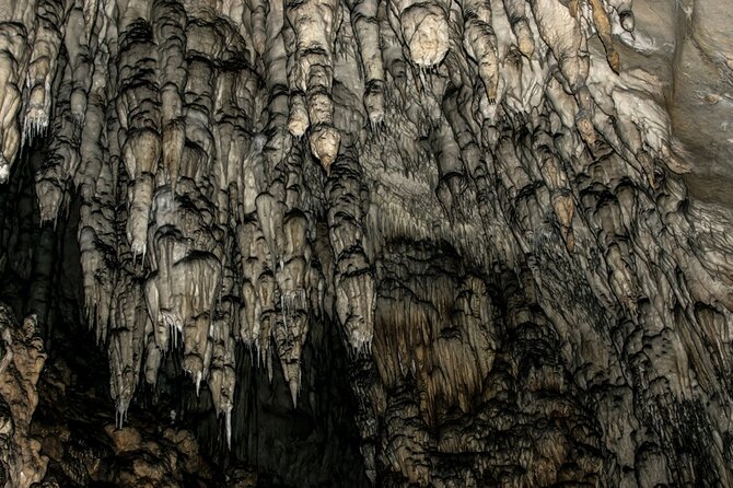 Full Day Trip from Belgrade: Uvac Nature Reserve Tour - Arriving at Uvac around 11:00 a.m.