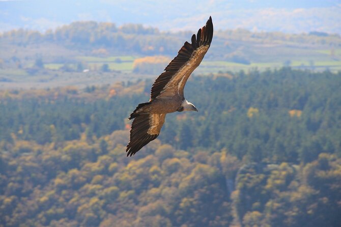 Full Day Trip from Belgrade: Uvac Nature Reserve Tour - The 6:00 a.m. pickup and the road west