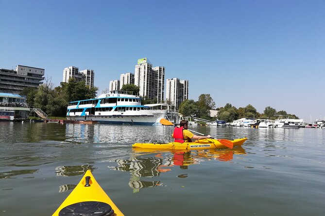 Great War Island Kayak Adventure - Timing, meeting point, and practical planning