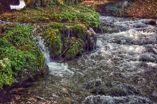 National park Tara - private day tour - Why Tara makes a demanding day trip from Belgrade