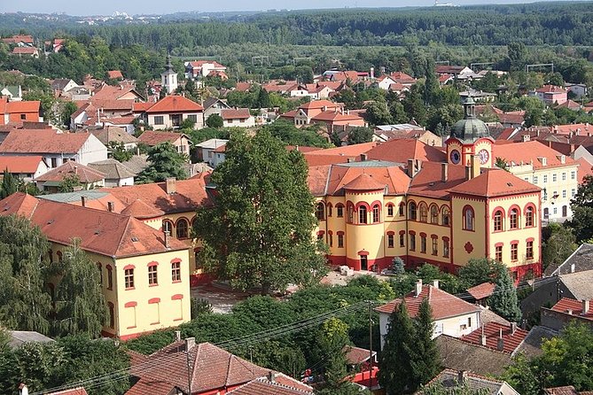 Novi Sad and Sremski Karlovci Wine Tour From Belgrade - Why this day trip works well from Belgrade