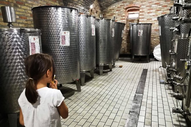 Novi Sad Saturday Full day trip - Price, timing, and what is included