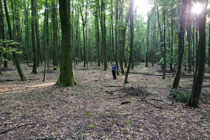Private Guided Truffle Hunting Tour in Serbia with Lunch - Lunch with wine, pasta, and truffle jam