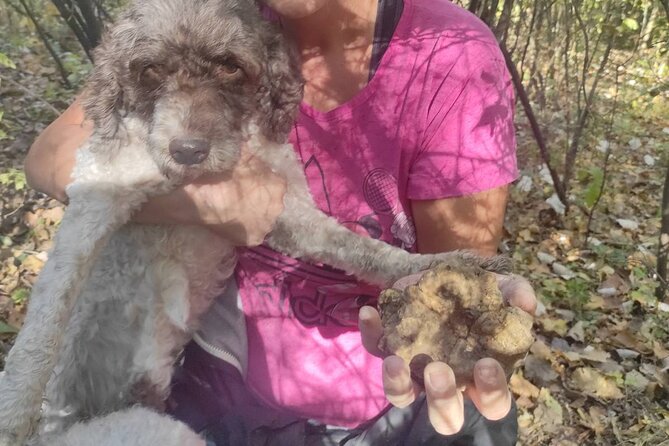 Private Guided Truffle Hunting Tour in Serbia with Lunch - Price and the value of a private half-day