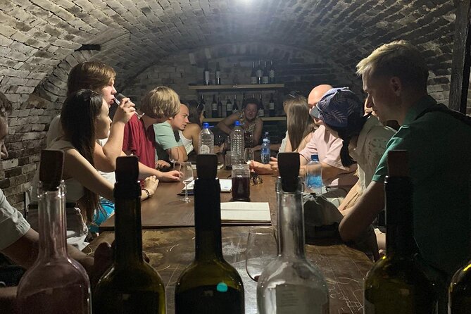 Private Novi Sad, Titanic wine tasting and Farmer's House - Sremski Karlovci and the Bermet Tasting