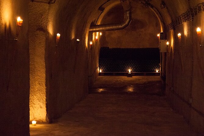 Private Wine Tasting by Party in Belgrade - A Three-Hour Pace That Leaves Room for Questions