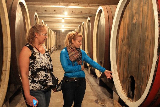 Private Wine Tour in Royal Region - Aleksandrović, modern wines with a royal connection