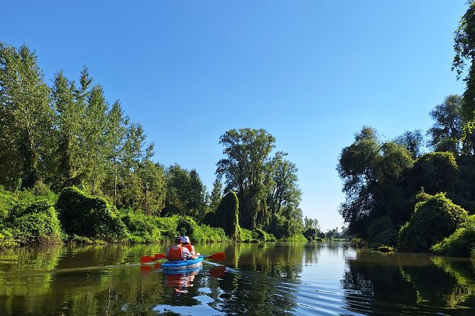 Self-guided kayak tour in Belgrade - Is $31.21 good value for three hours?