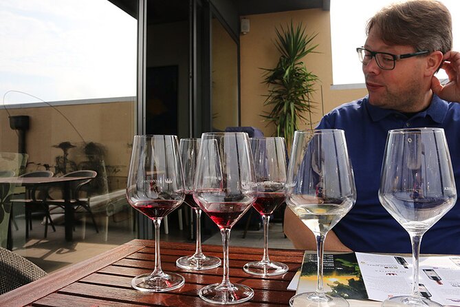 Small Group Wine Tour in Sumadija Wine Region - Guides, group size, and the pace of the day