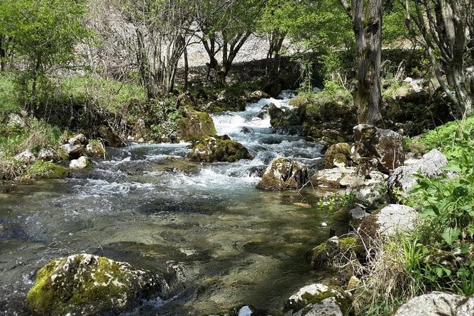 Treasures of Eastern Serbia private tour - Veliki Buk Waterfall and a useful lunch stop