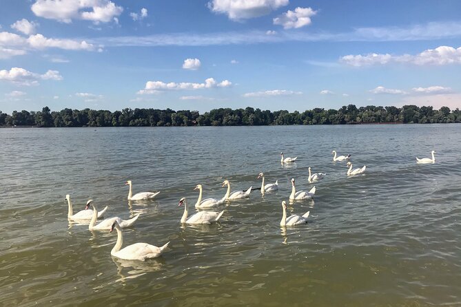 Your Own Belgrade: Unexpected Treasures of the City - Terazije and Kralja Milana